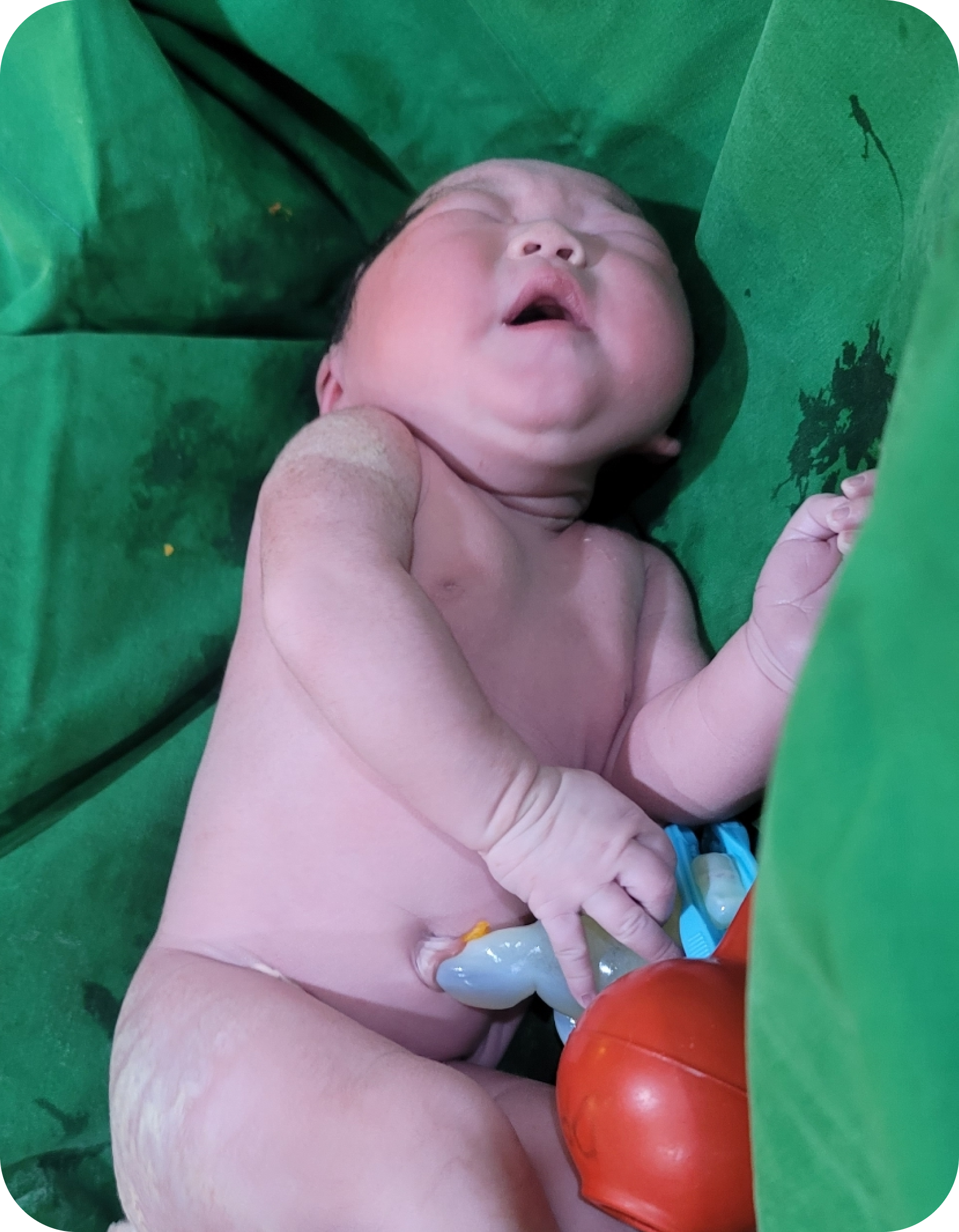 Community Article Image